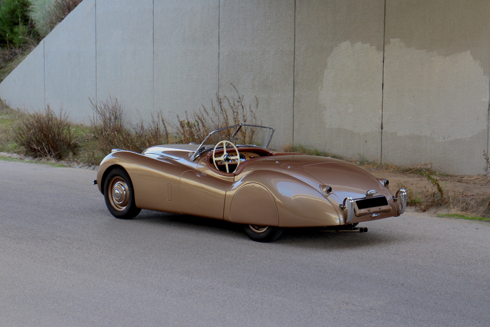 xk120bronce26f